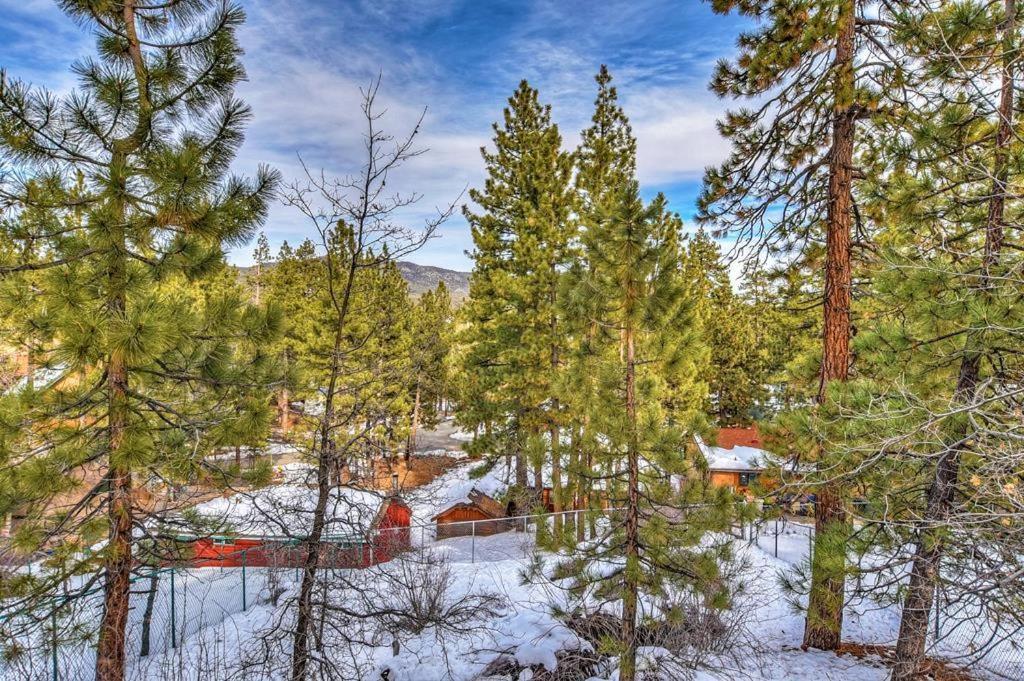 031 - Paradise Pines Биг Бэар Лейк Экстерьер фото